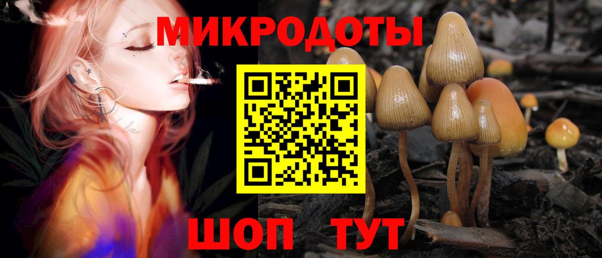 Галлюциногенные грибы прущие грибы  Вход с VPN  Кулебаки  что такое   Галлюциногенные грибы Psilocybine cubensis 