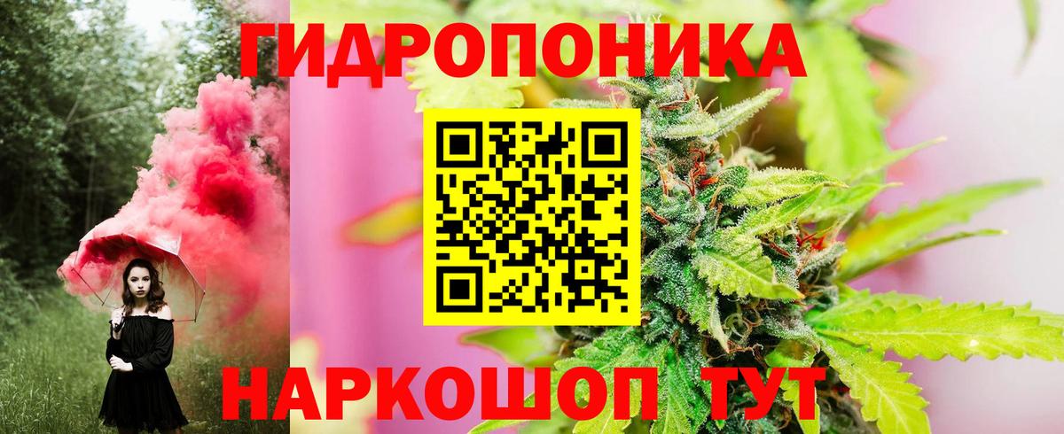 Бошки Шишки тримм Кулебаки